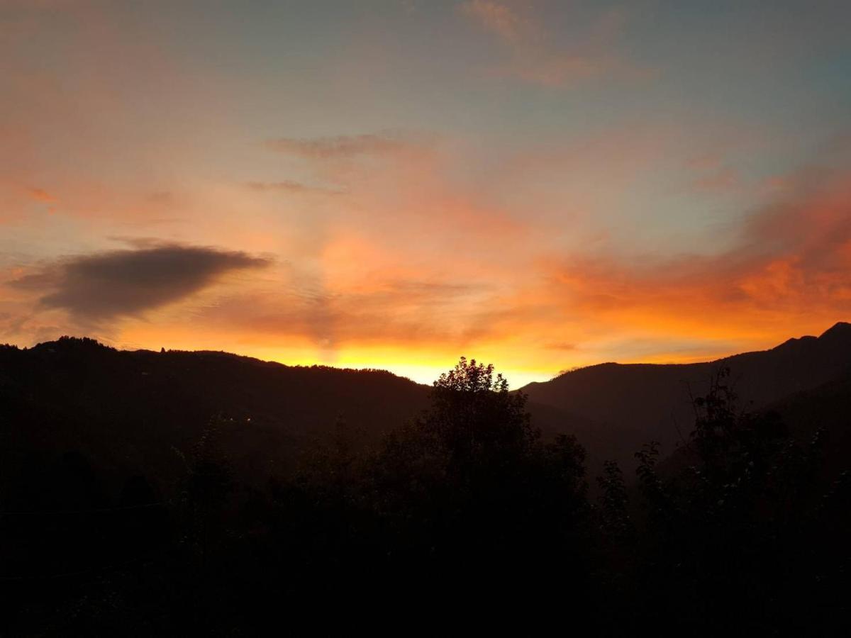 Lala Mountain Homestay‧Cile Farm Hualing Zewnętrze zdjęcie