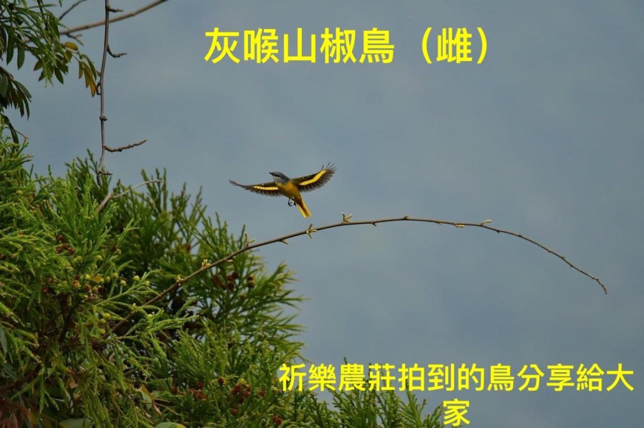Lala Mountain Homestay‧Cile Farm Hualing Zewnętrze zdjęcie