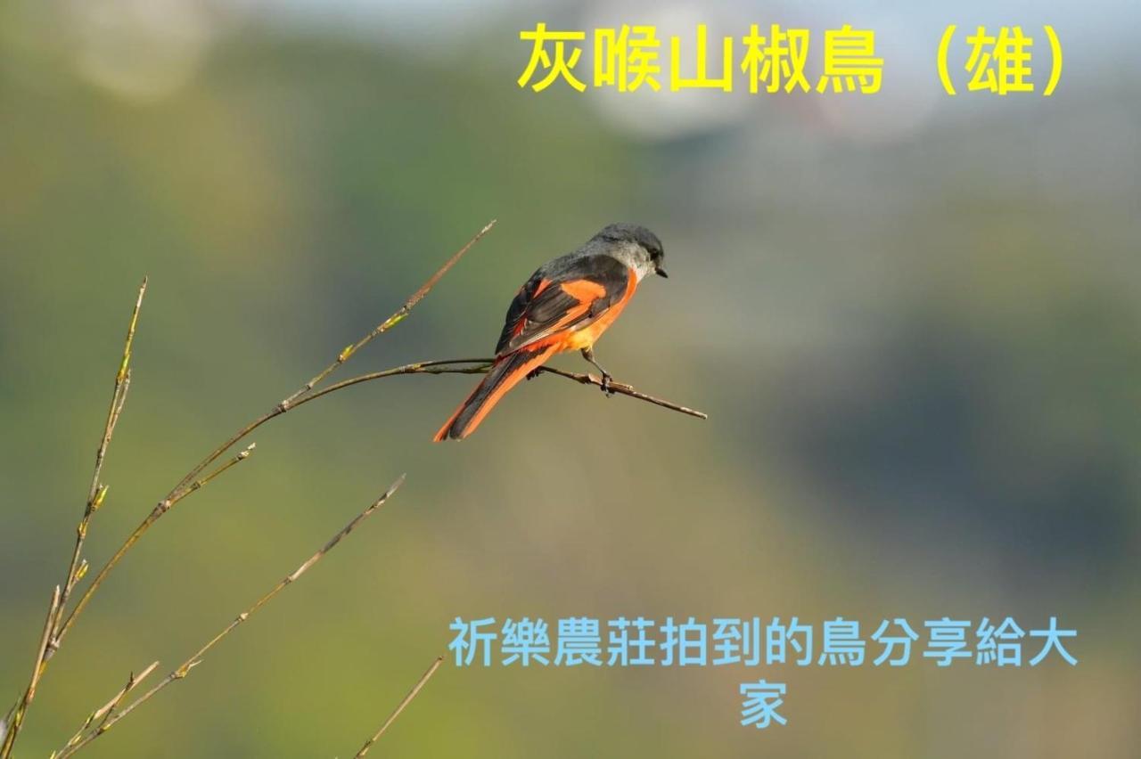 Lala Mountain Homestay‧Cile Farm Hualing Zewnętrze zdjęcie