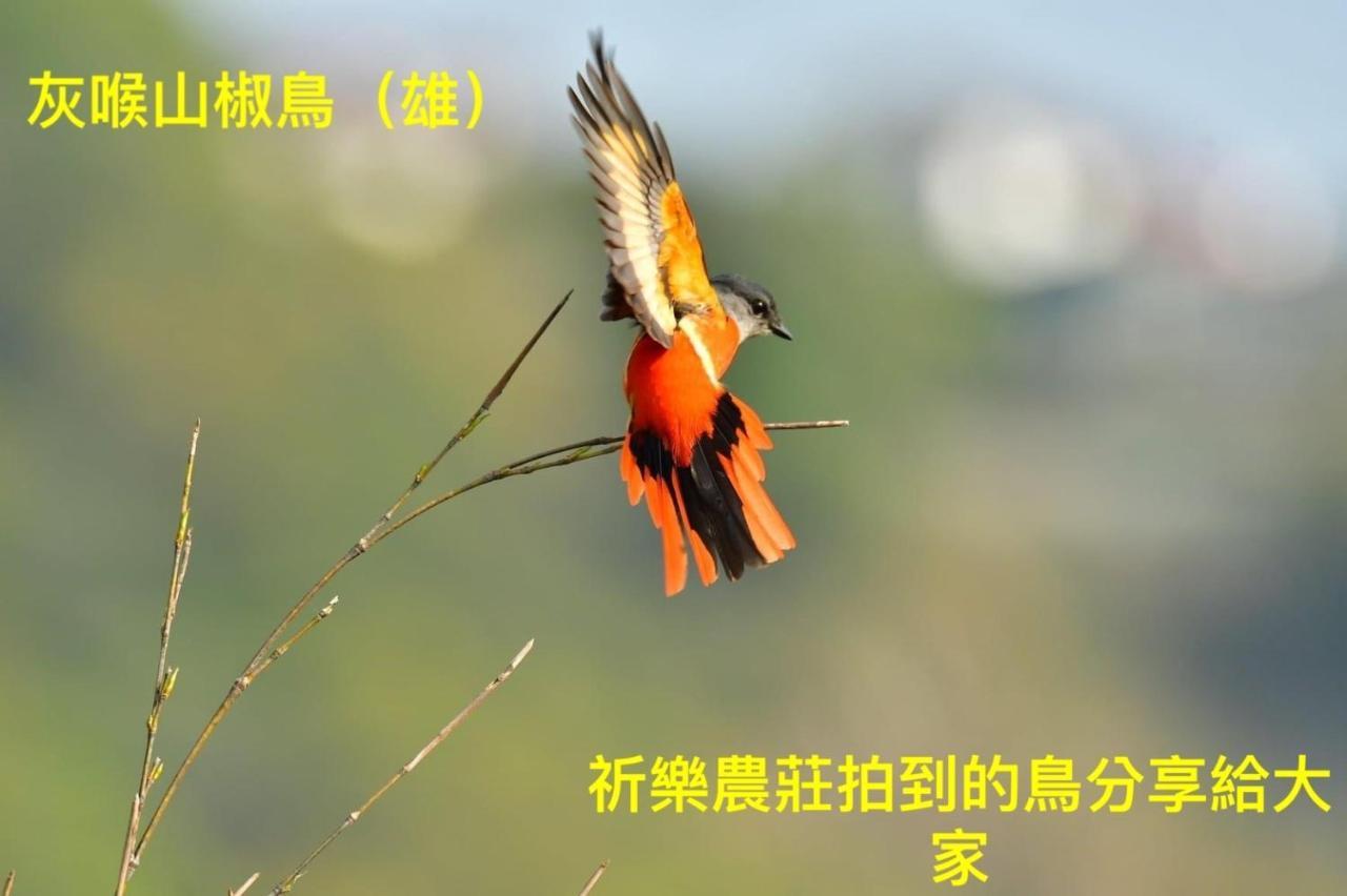 Lala Mountain Homestay‧Cile Farm Hualing Zewnętrze zdjęcie