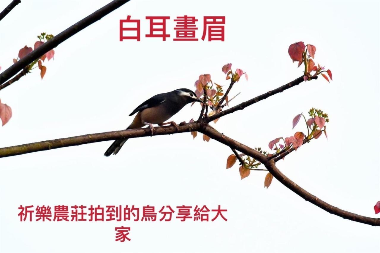 Lala Mountain Homestay‧Cile Farm Hualing Zewnętrze zdjęcie