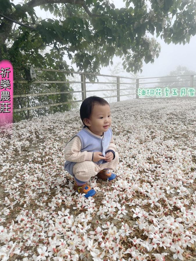 Lala Mountain Homestay‧Cile Farm Hualing Zewnętrze zdjęcie