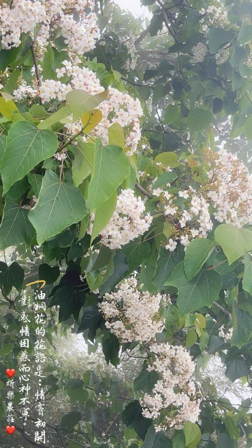 Lala Mountain Homestay‧Cile Farm Hualing Zewnętrze zdjęcie